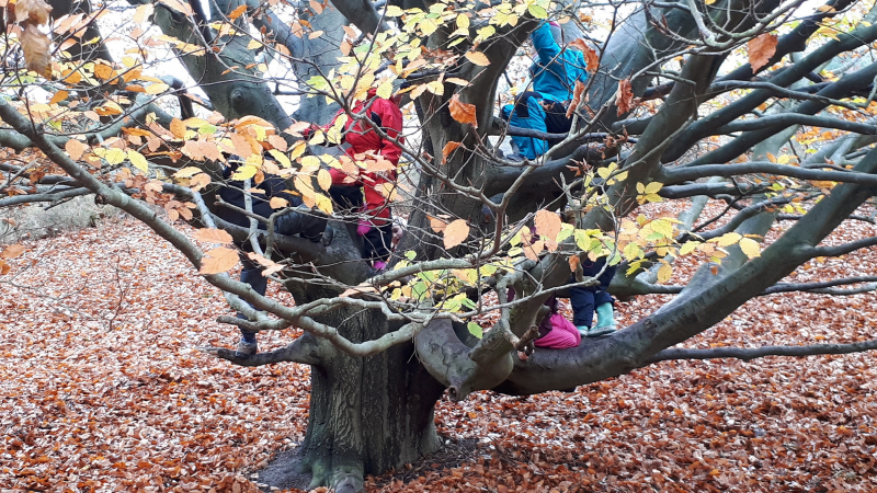 der Waldorfkindergarten in Neugraben - Baum mit Kindern